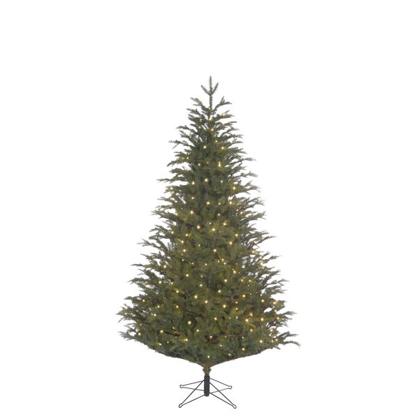 louter Attent Voorman Black Box Trees - Frasier kerstboom led groen 288L TIPS 1880 - h185xd124cm  kopen? | Felinaworld