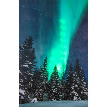 Christmas lights LED canvas 38x58cm Northern Lights 2xAA