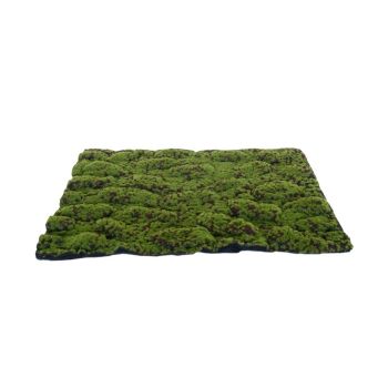 My Village Moss Mat Medium Green/Brown 70x50cm