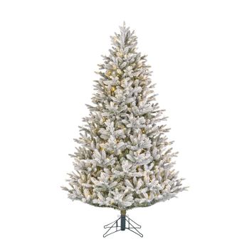 Black Box Trees Frasier sapin de noël artificiel avec de la neige et éclairage vert 2,3 m x 1,47 m