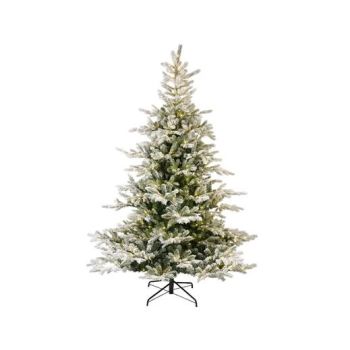 Everlands Grandis Fir albero di natale artificiale  verde 2,1 m x 1,52 m