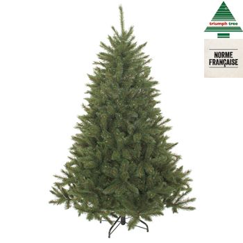 Antecedent Ziek persoon Opknappen Triumph Tree Christmas Trees | Felinaworld